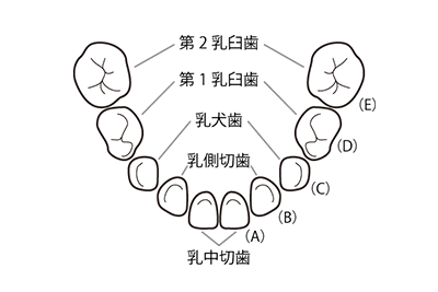 料金